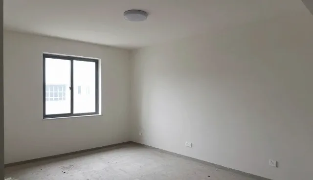 域名管理中的常见排查方法与维护建议